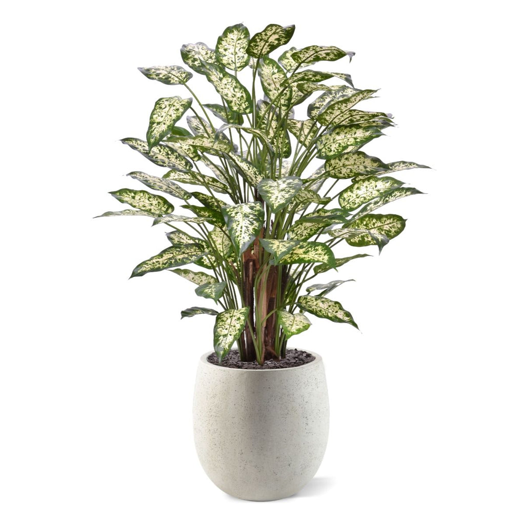 Dieffenbachia Kunstplant 110cm Deluxe
