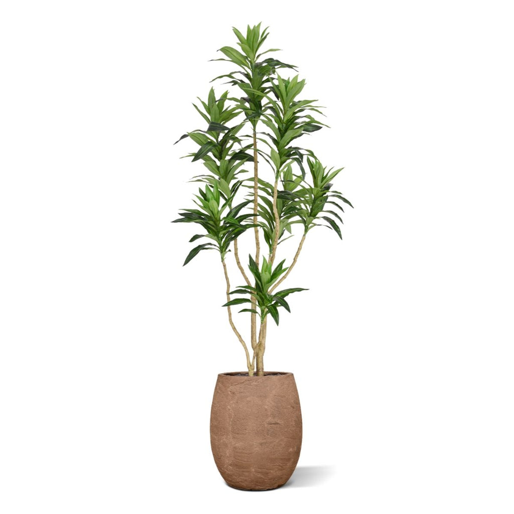 Draceana Reflexa Kunstplant groen 120cm RT