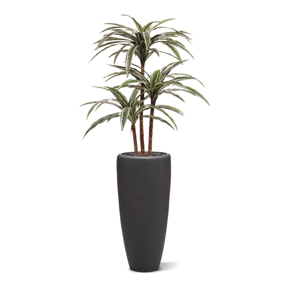 Draceana Deluxe kunstplant groen-bont 95cm
