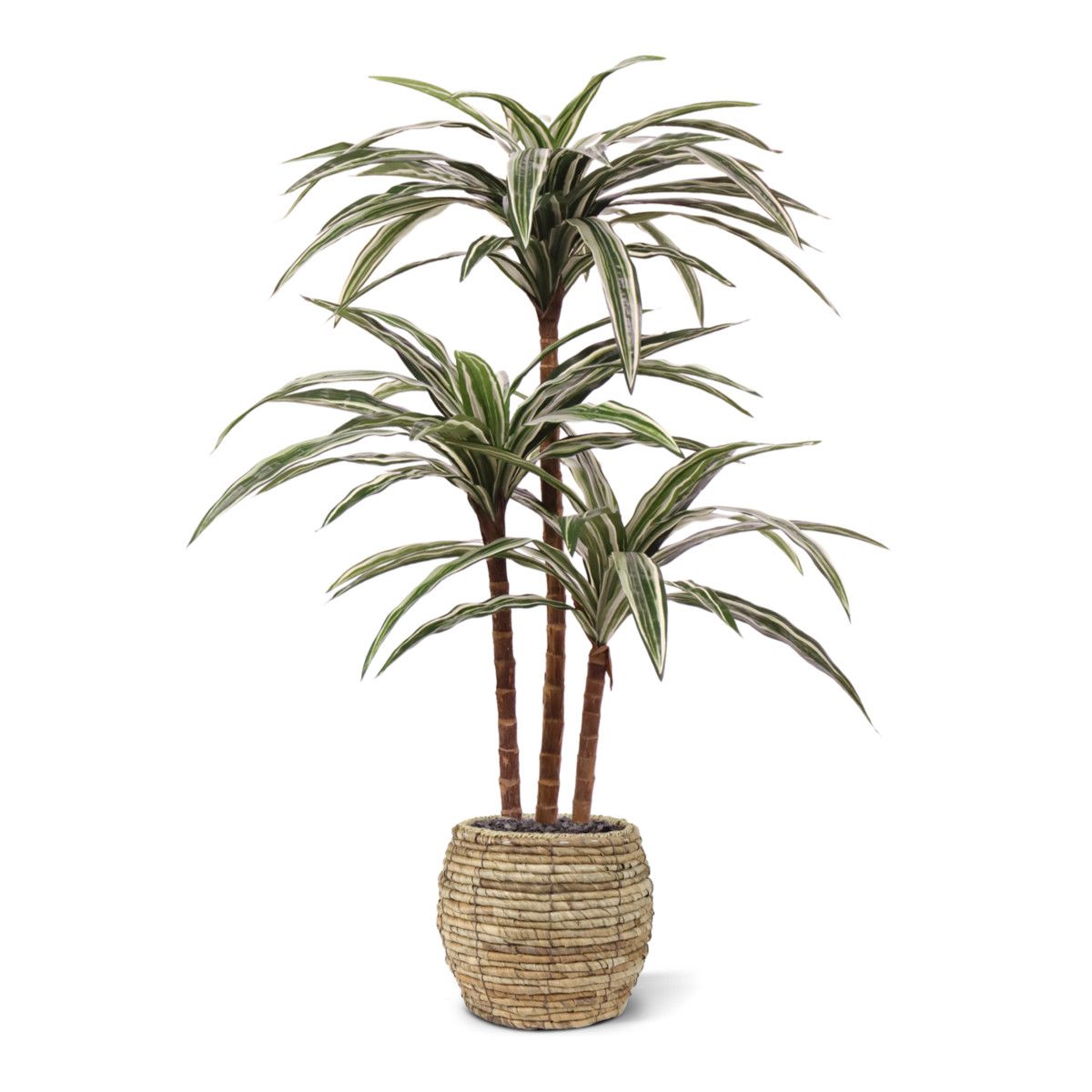 Draceana Deluxe kunstplant groen-bont 95cm