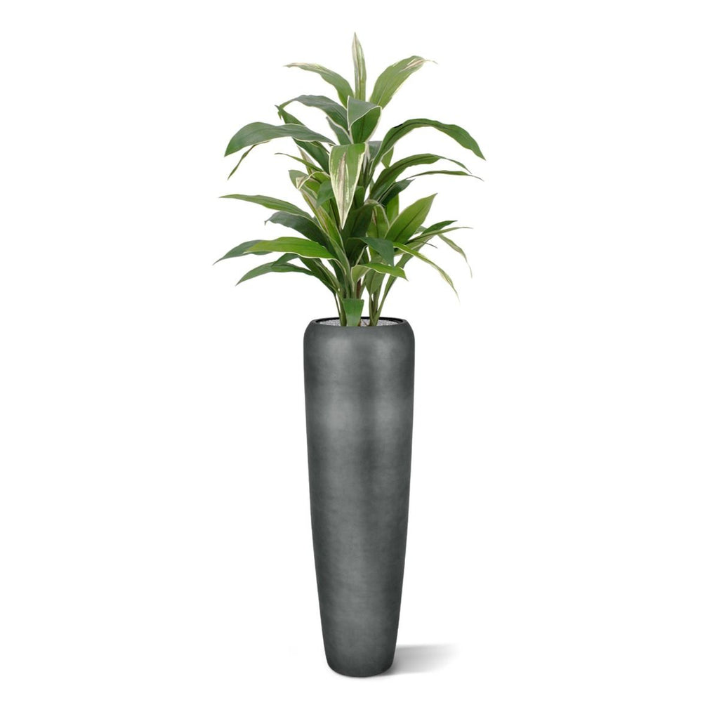 Draceana kunstplant 80cm - bont
