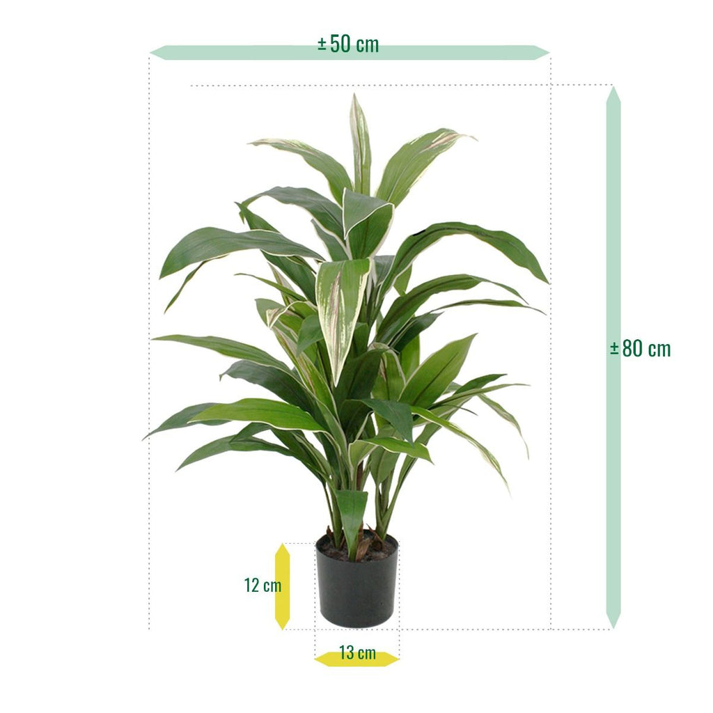 Draceana kunstplant 80cm - bont