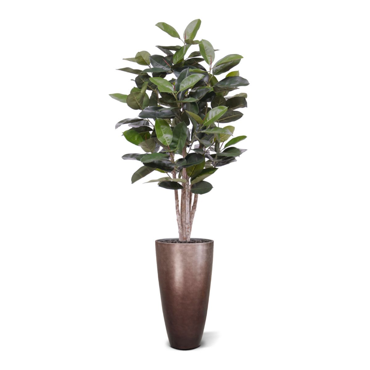 Elastica Robusta kunstplant 170cm groen