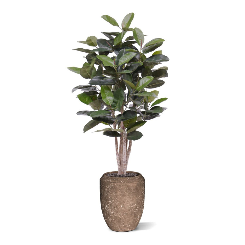 Elastica Robusta kunstplant 170cm groen