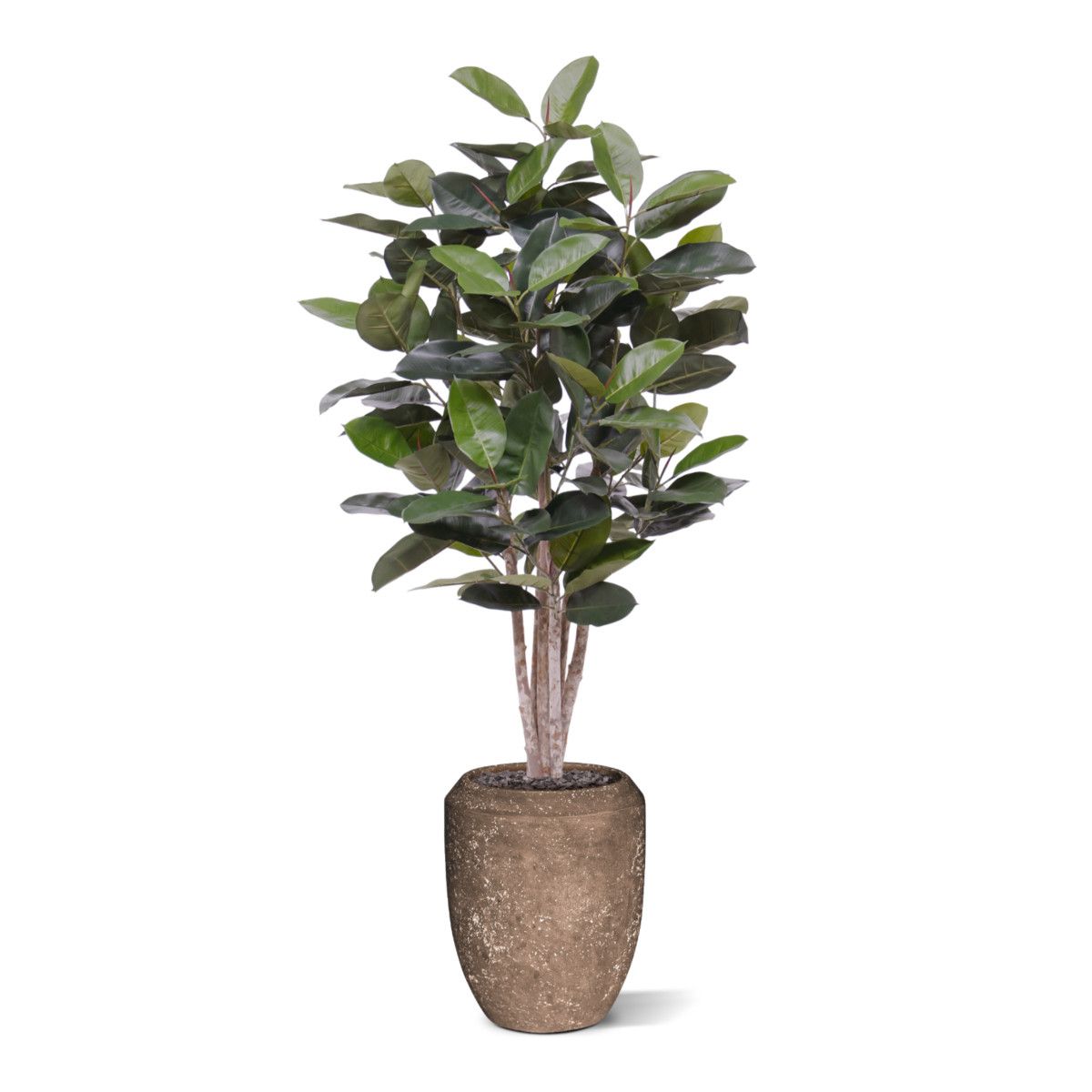 Elastica Robusta kunstplant 170cm groen