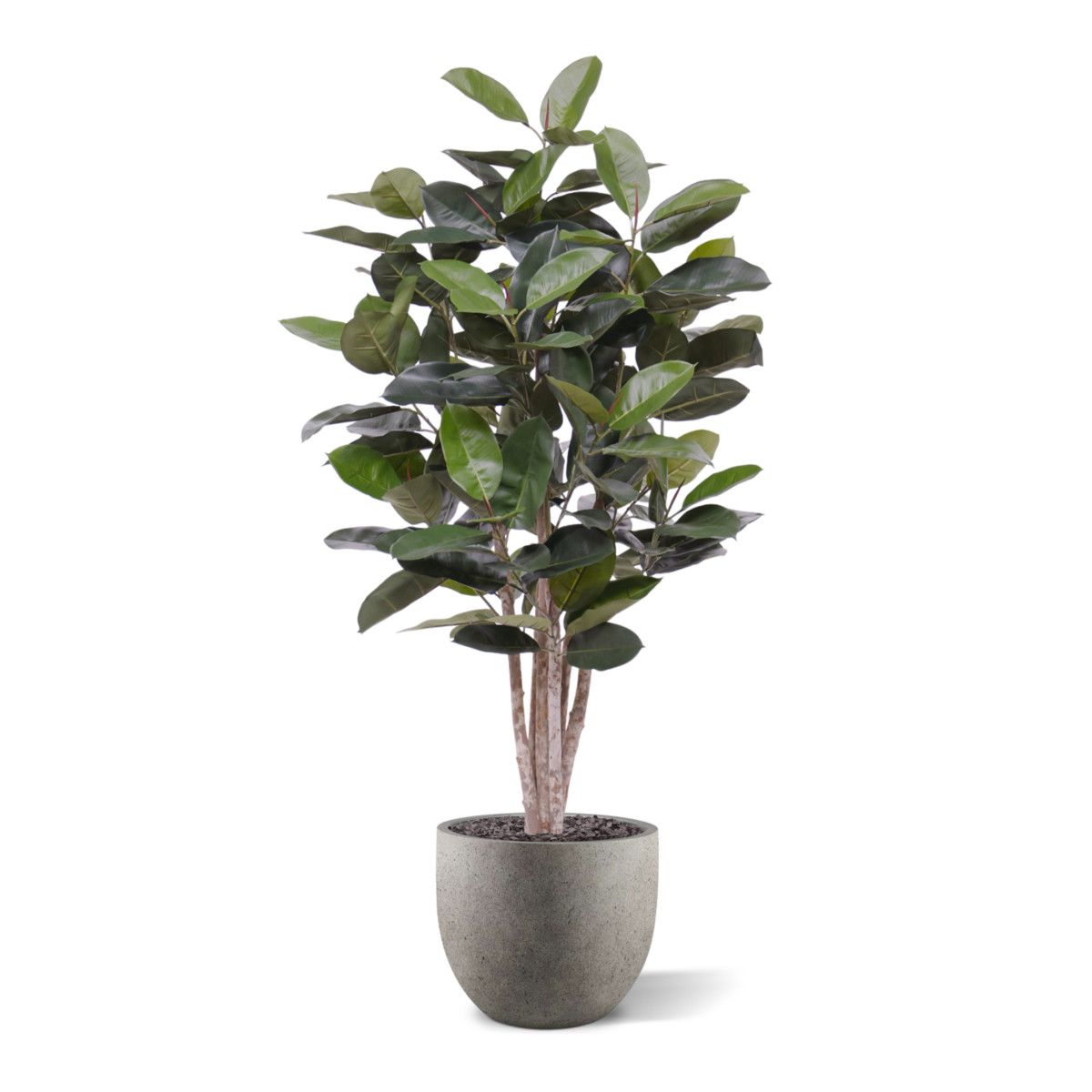 Elastica Robusta kunstplant 170cm groen