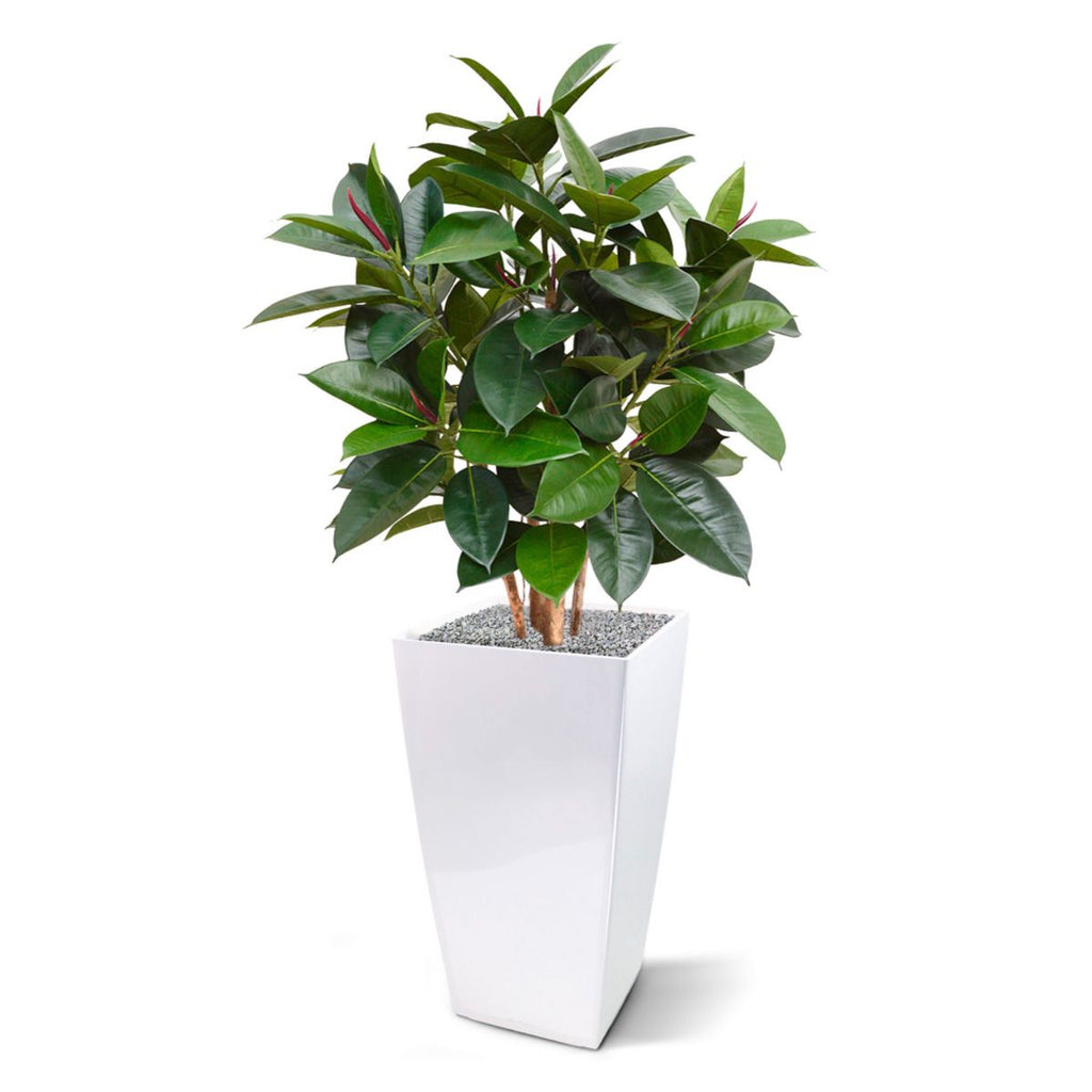 Elastica Robusta kunstplant 90cm - groen