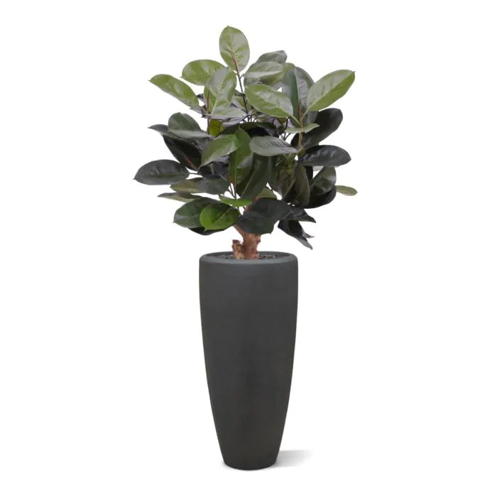 Elastica Robusta kunstplant 95cm groen
