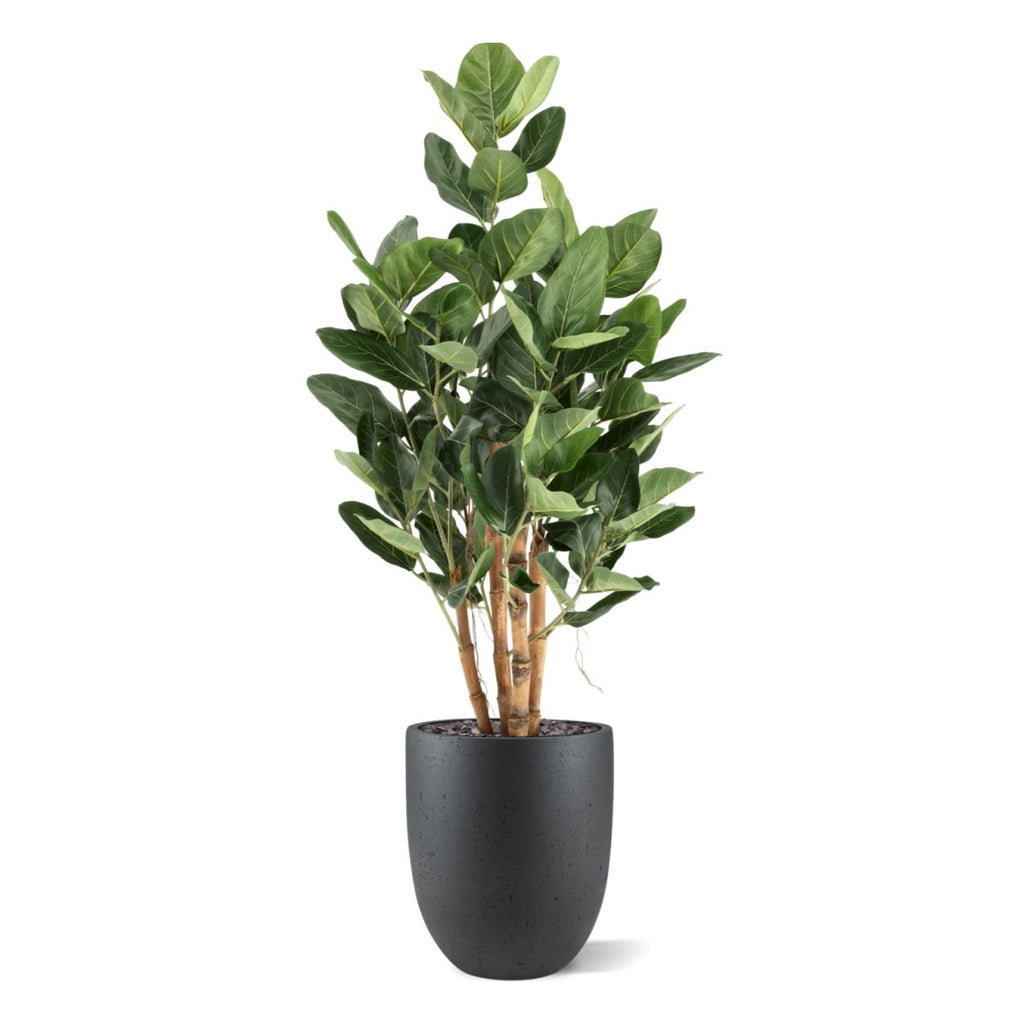 Ficus Audrey Kunstboom Deluxe 120cm