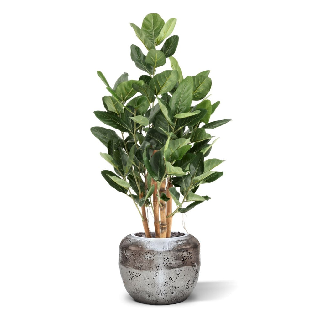 Ficus Audrey Kunstboom Deluxe 120cm