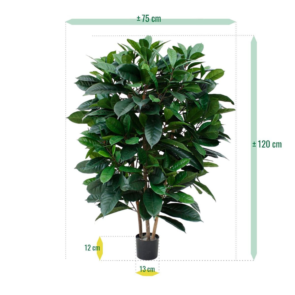 Ficus Cyathistipula deluxe kunstplant 120cm