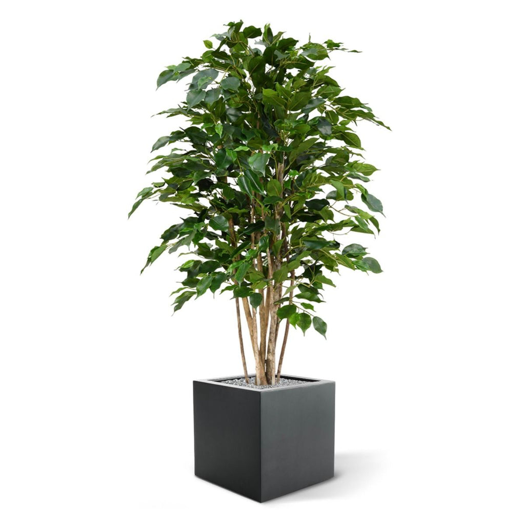 Ficus Exotica deluxe kunstplant 125cm - groen