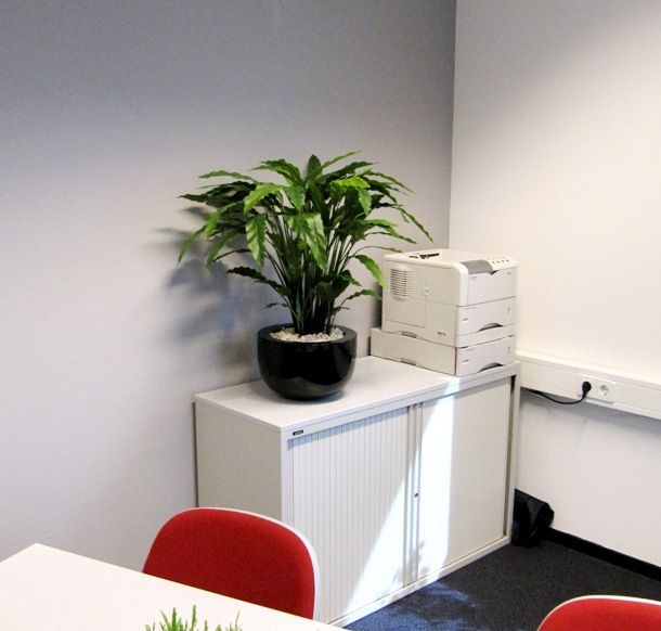 Calathea kunstplant 85cm - groen