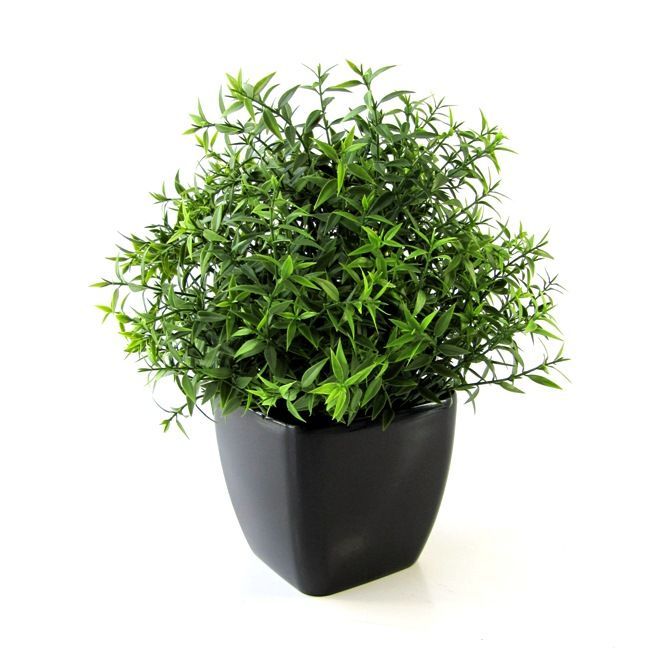 Eucalyptus kunstplant 35cm