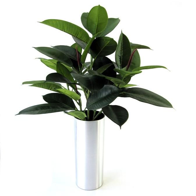 Philodendron Window kunstplant 50cm