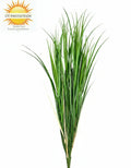 Buitenrietgras 105 cm UV-groen