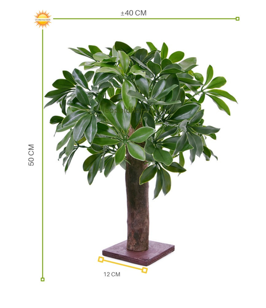 Schefflera kunstplant op mini-steel 50 cm UV-bestendig