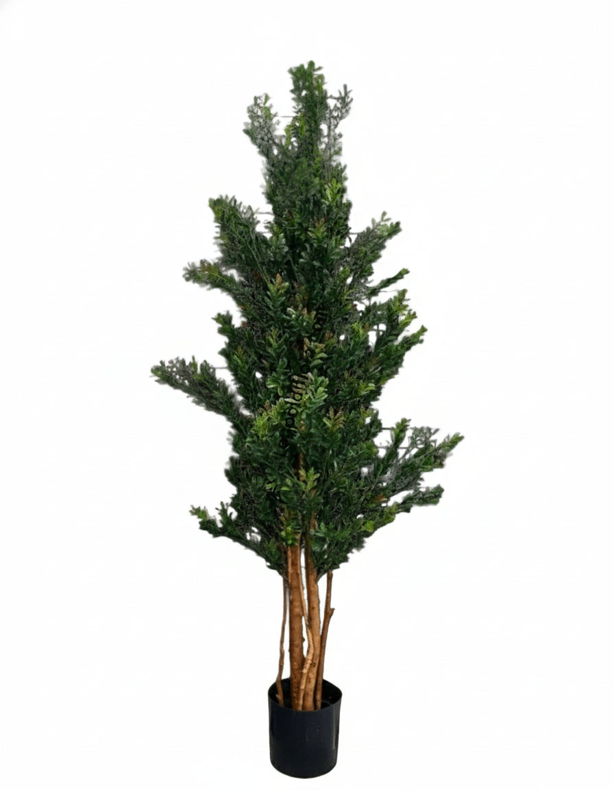 Hoge buxus van 165 cm, UV-groen/rood
