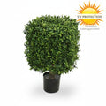 Buitenkunst Buxus Kubus 30 cm UV-bescherming