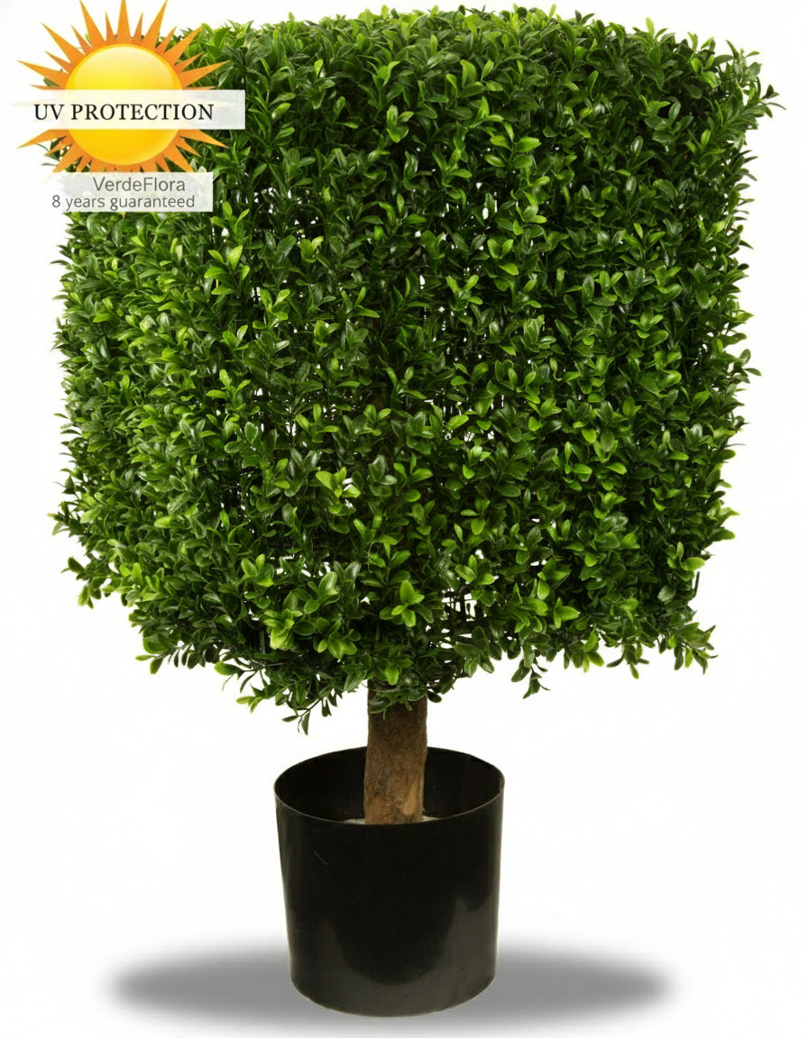 Buitenkunst Buxus Kubus 40 cm UV-beschermd