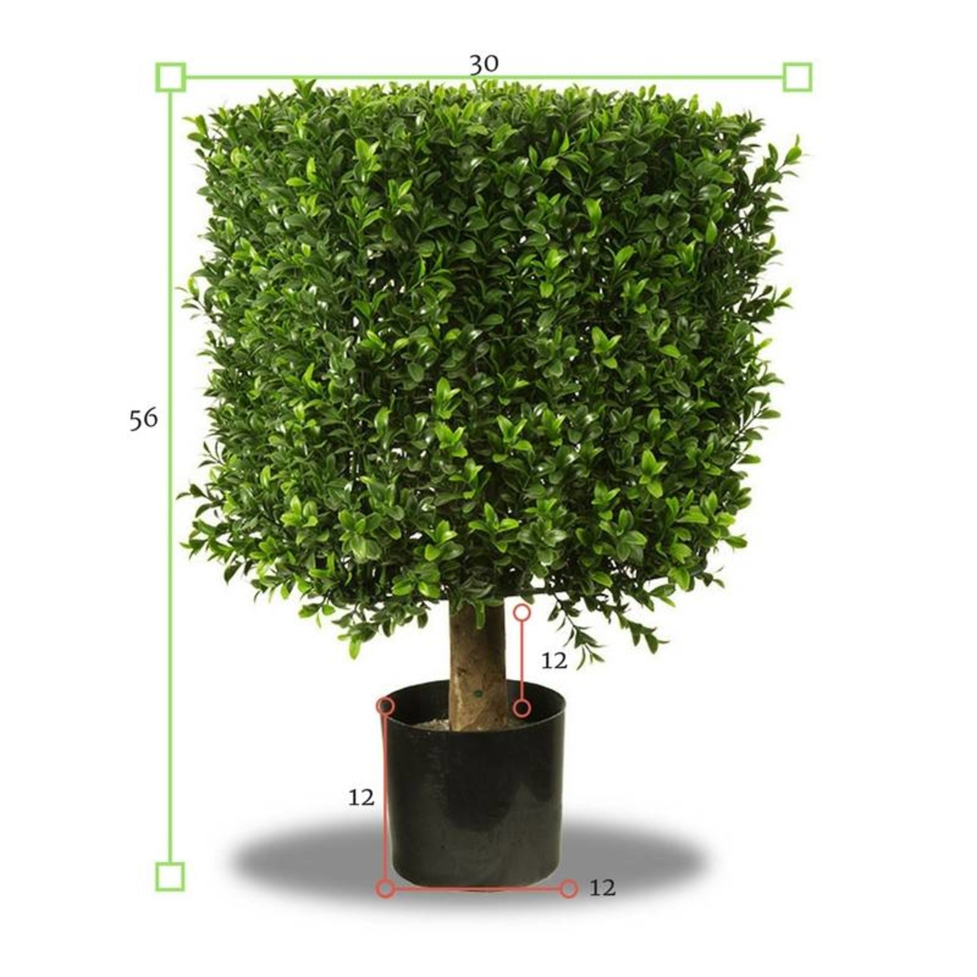 Buitenkunst Buxus Kubus 30 cm UV-bescherming