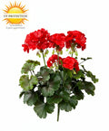 Geranium kunstboeket voor buiten, 38 cm, rood, UV-bestendig.