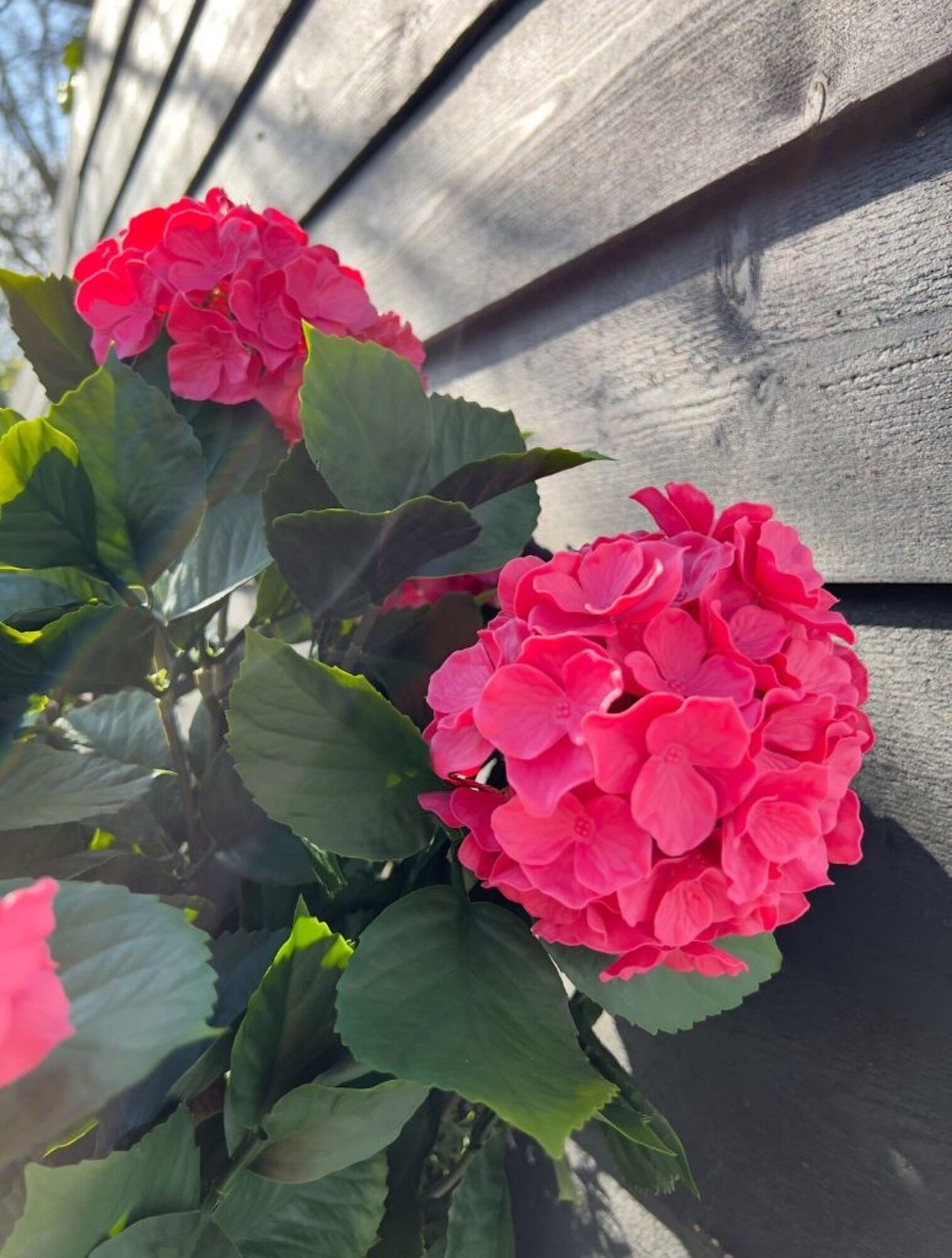 Roze kunsthortensia voor buiten met stelen van 80 cm, UV-bestendig.