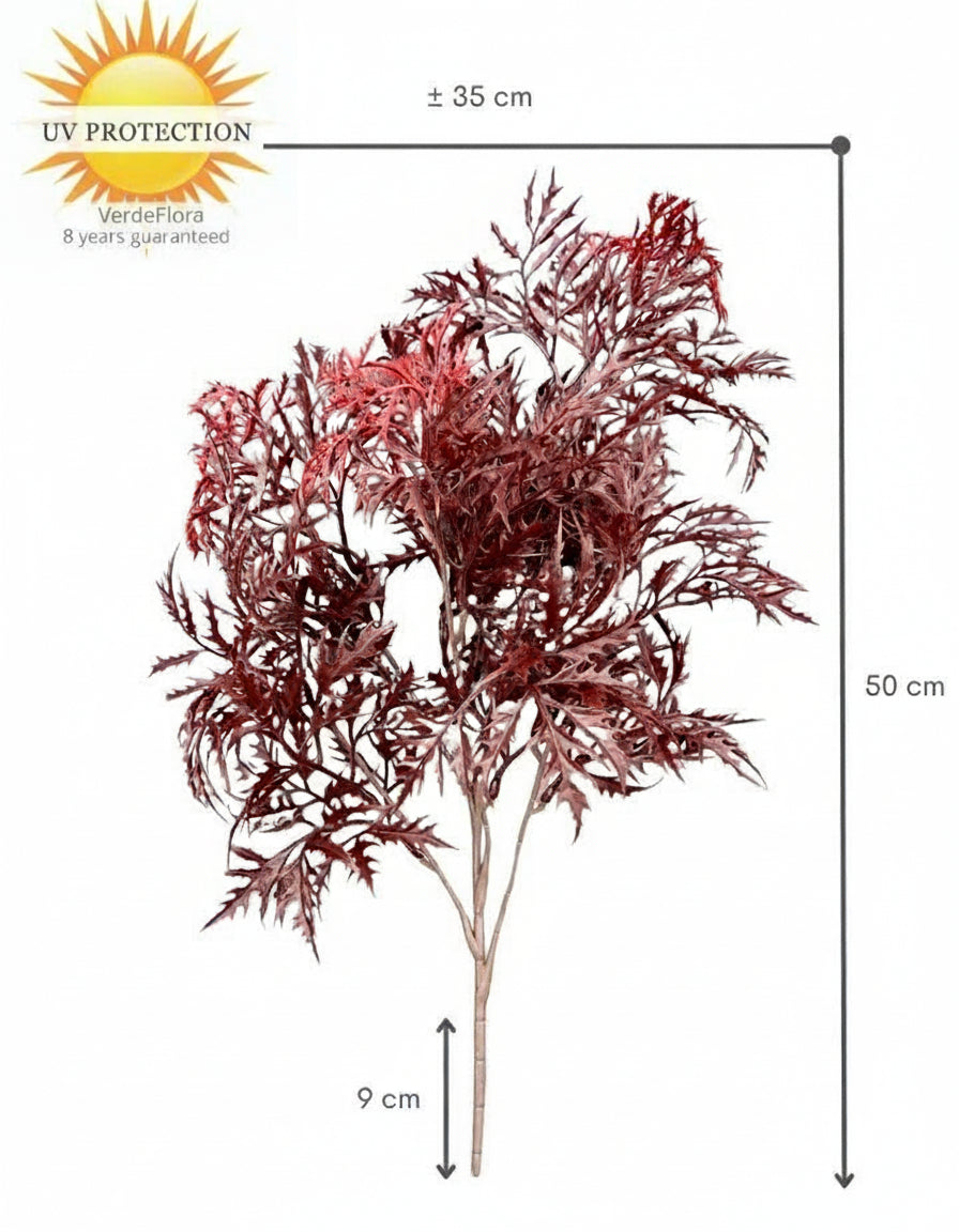 Ming Aralia bordeauxrode tak 50cm UV