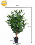 Olijfplant 100 cm UV-bestendig