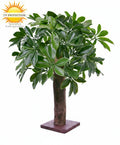 Potted plant with UV protection label on a white background