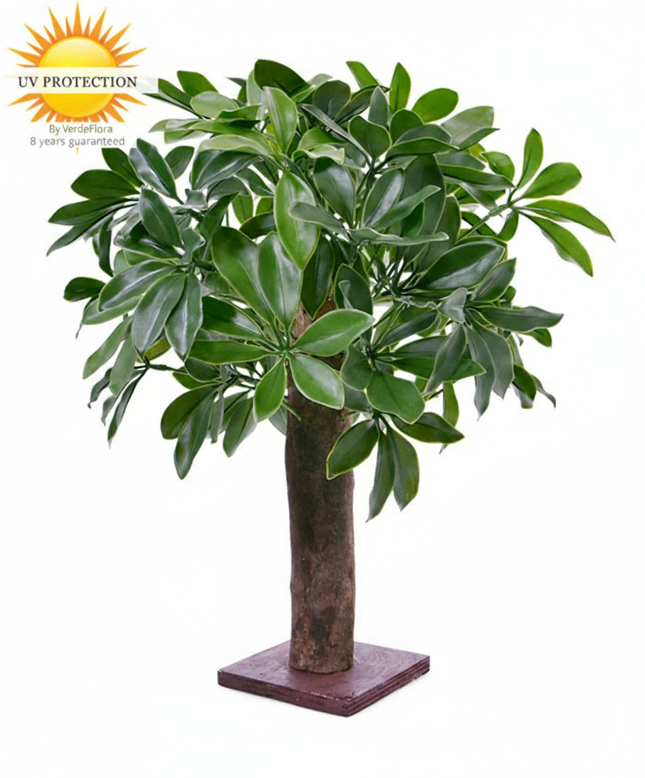 Potted plant with UV protection label on a white background
