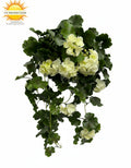 Buitengeranium 65 cm UV-werend wit
