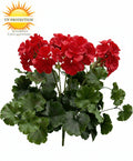 Extra lange rode, UV-bestendige kunstmatige geranium voor buiten, UV-bestendig.