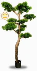 Luxe buitenkunstwerk: Pinus Bonsai XL met UV-bescherming