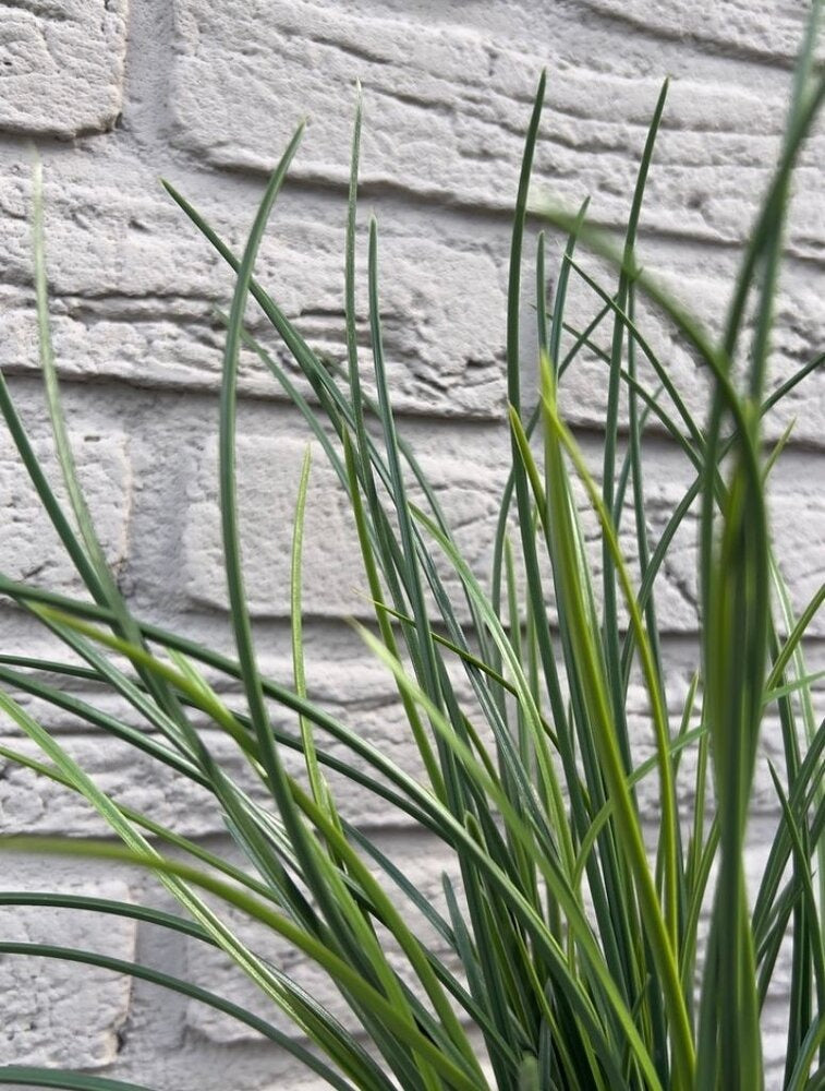 Kunstgras voor buiten, plantenboeket, 40 cm, UV-bestendig