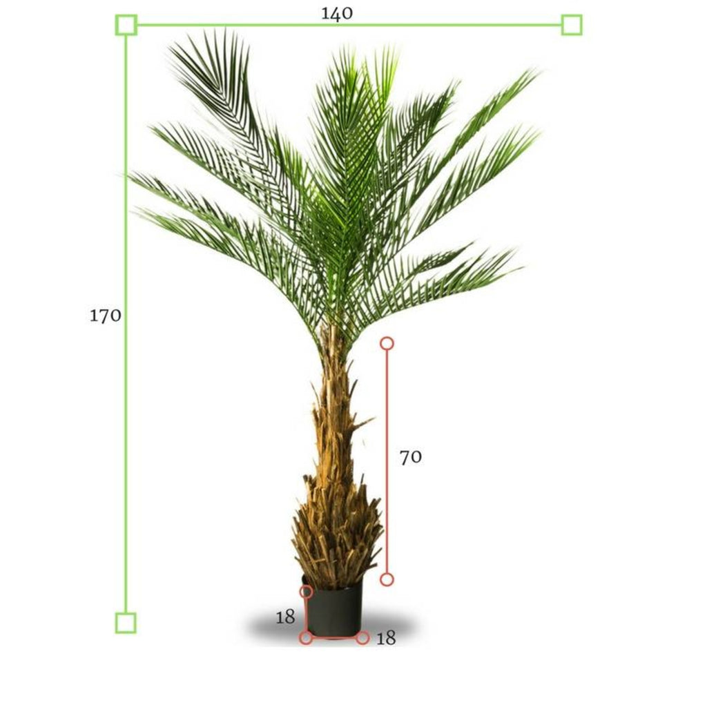 Kunstmatige Phoenix palmboom voor buiten, 170 cm hoog, UV-beschermd.