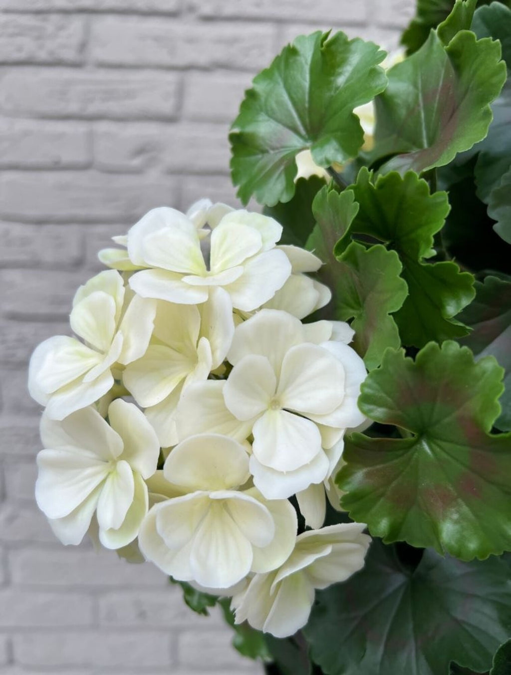 Geraniumbol kunstplant 70cm UV crèmewit