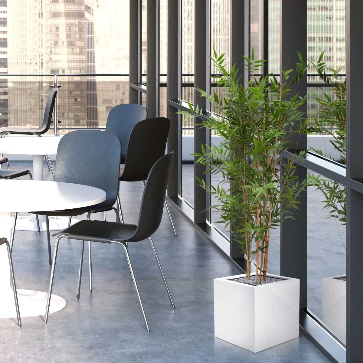Hoogwaardige bamboeplant voor buiten, 120 cm hoog, UV-beschermd.