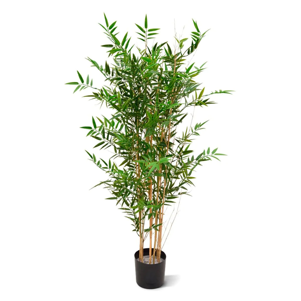 Hoogwaardige bamboeplant voor buiten, 120 cm hoog, UV-beschermd.