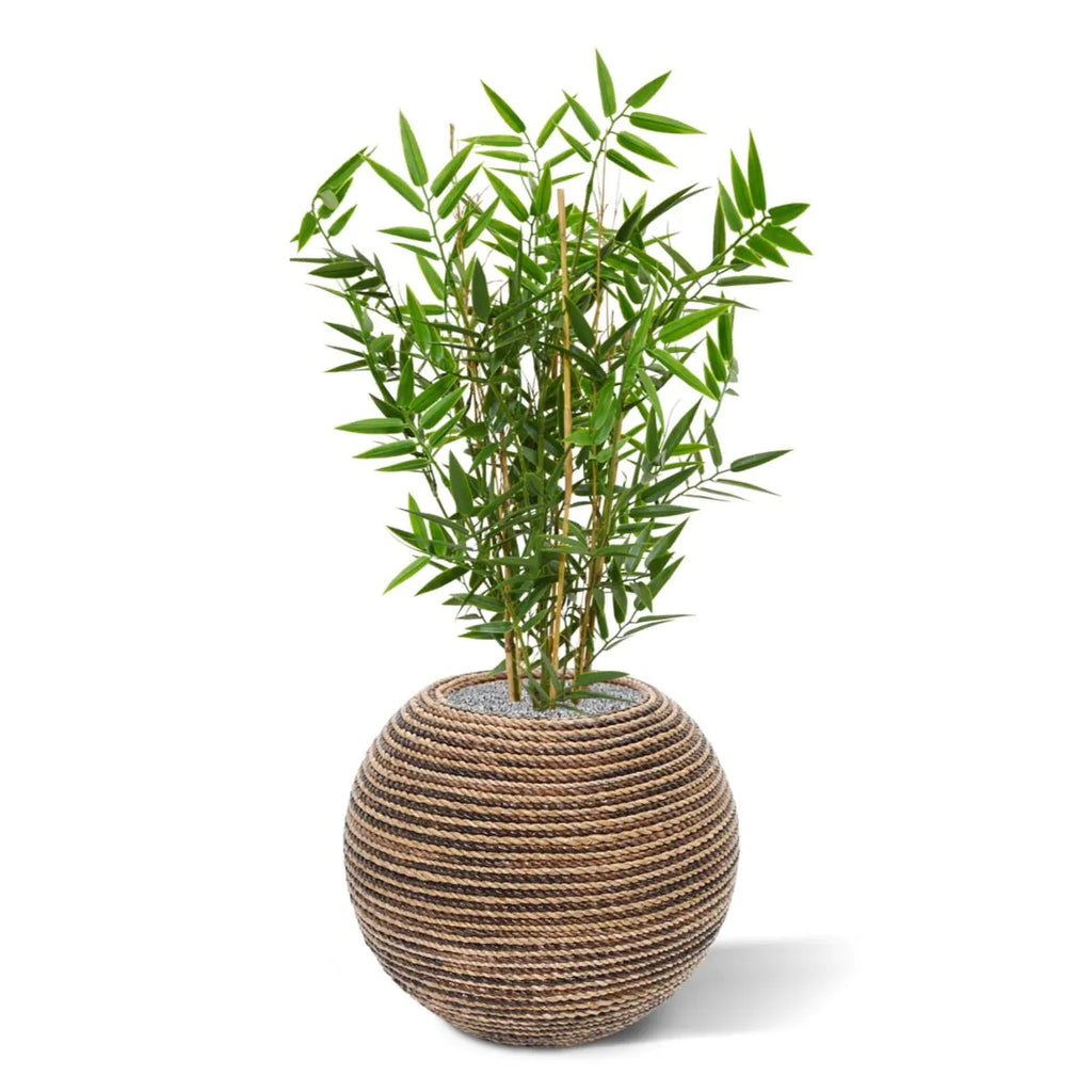 Kunstmatige bamboeplant voor buiten, 60 cm, UV-beschermd.