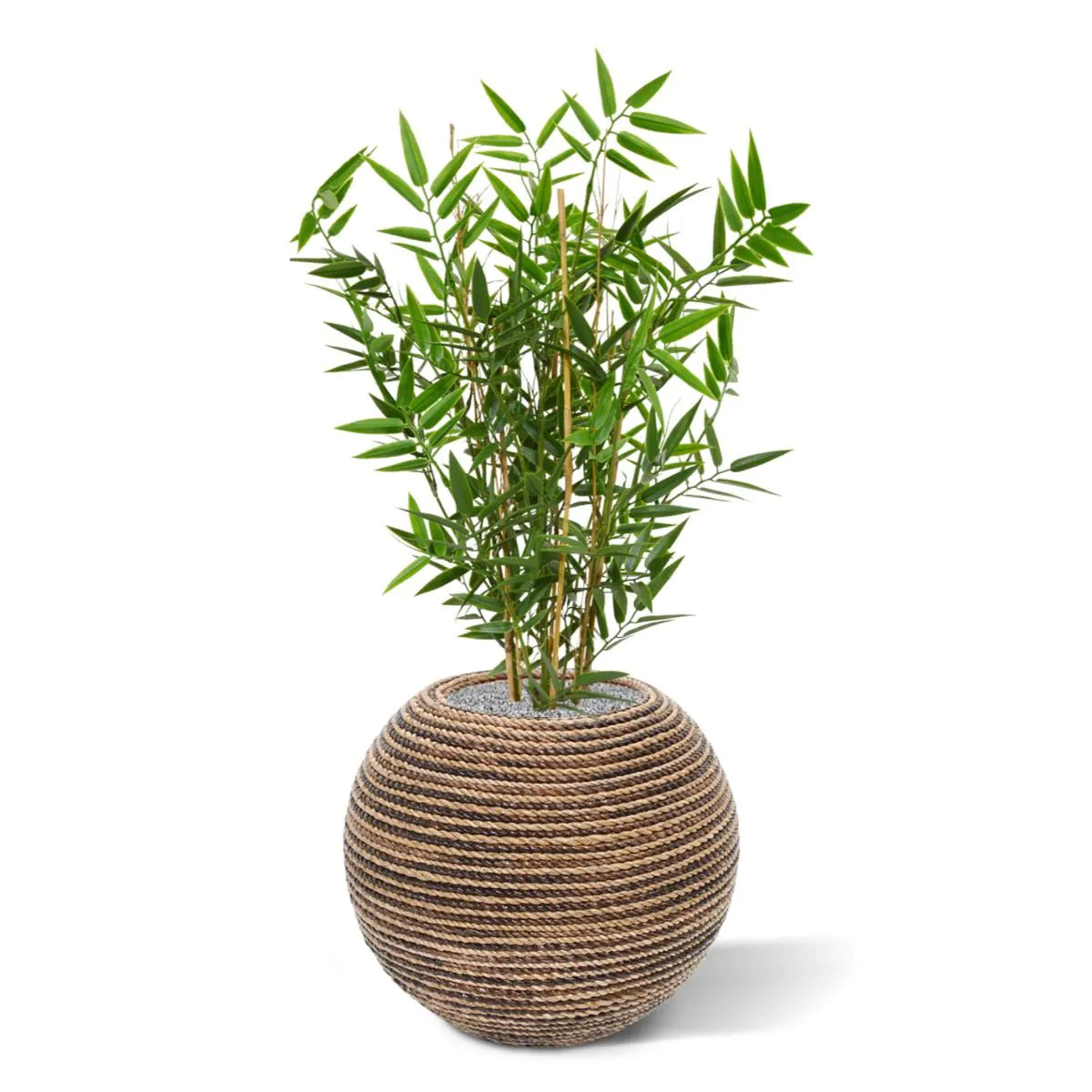 Kunstmatige bamboeplant voor buiten, 60 cm, UV-beschermd.