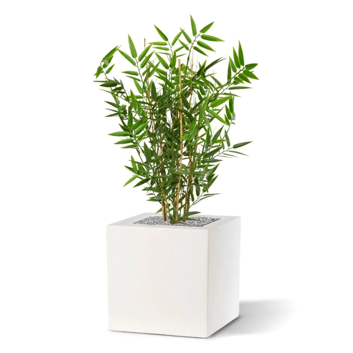 Kunstmatige bamboeplant voor buiten, 60 cm, UV-beschermd.