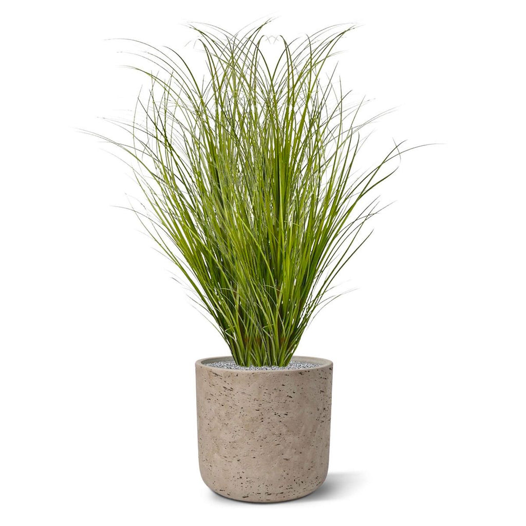 Kunst Grasplant Wide 60cm - groen (zonder kweekpotje)