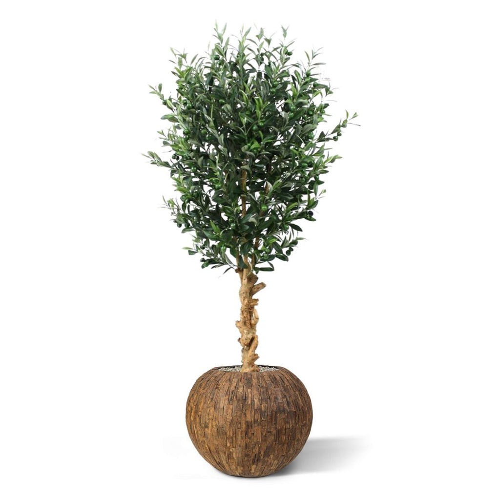 Kunst Olijfboom deluxe 155cm