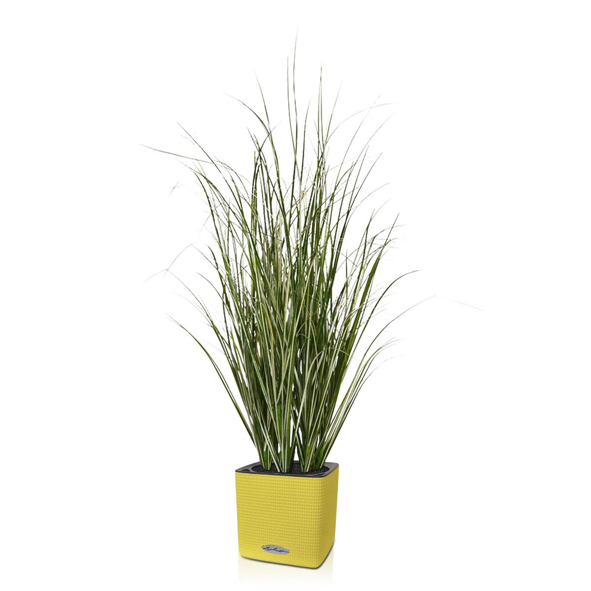 Kunst Rietgras plant 60cm - groen/creme