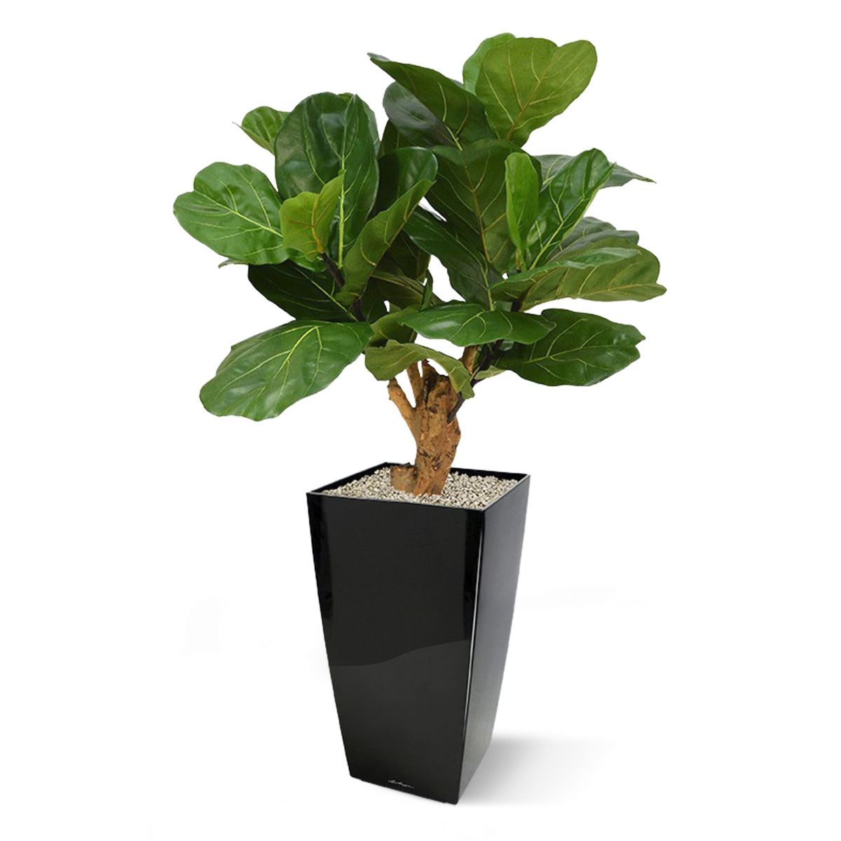 Lyrata deluxe kunstplant op stam 80cm