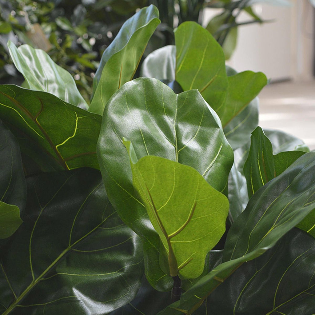 Lyrata deluxe kunstplant op stam 80cm