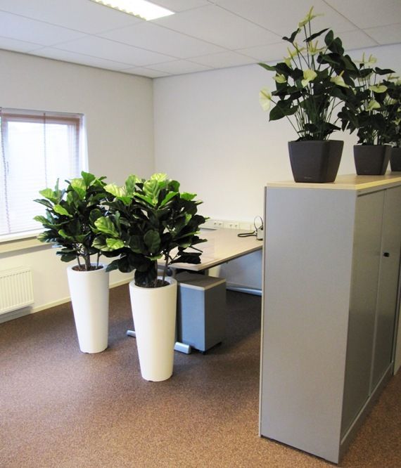 Lyrata deluxe kunstplant 95cm
