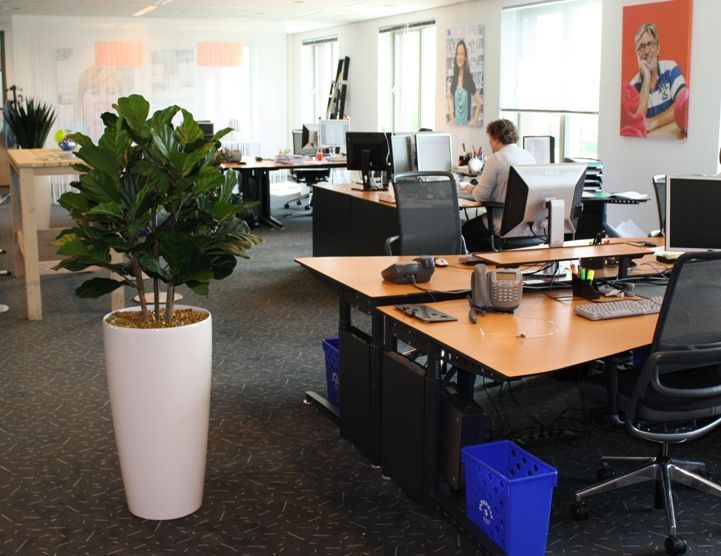 Lyrata deluxe kunstplant 95cm