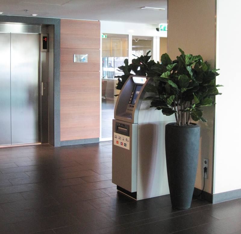 Lyrata deluxe kunstplant 95cm